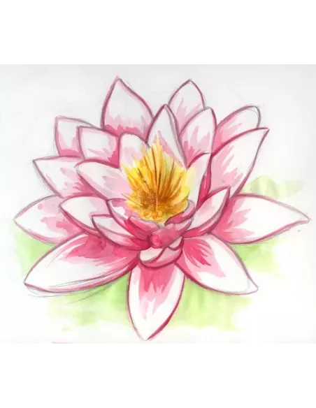 Huile fleur de lotus 