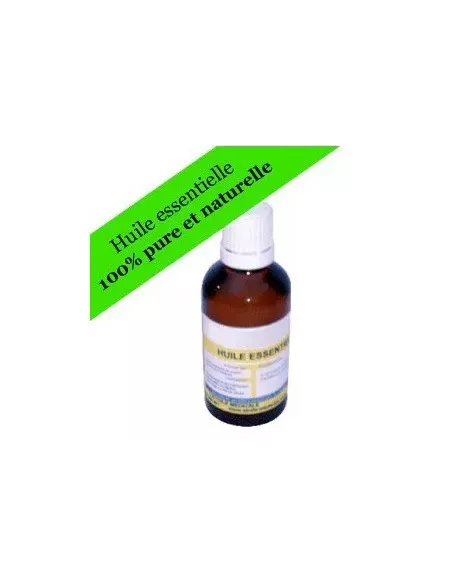Extrait : lierre grimpant 50 ml