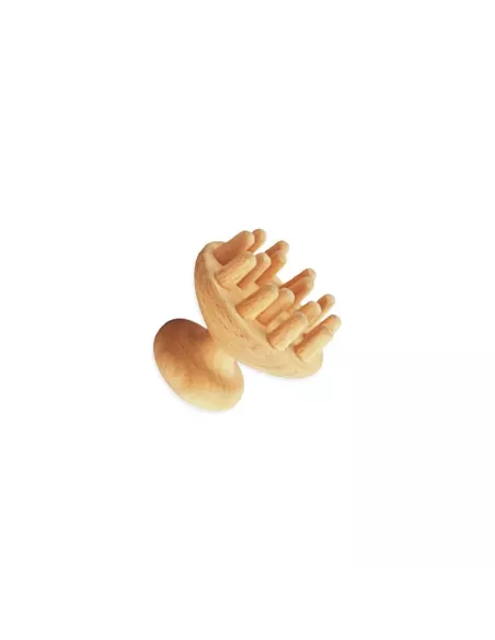 Champignon- Madérothérapie Corps