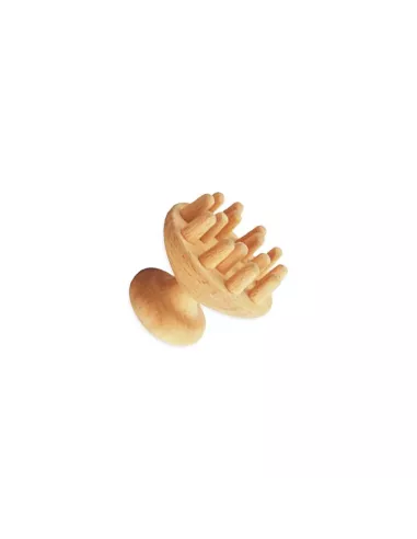 Kit 7 pièces Madérothérapie Corps