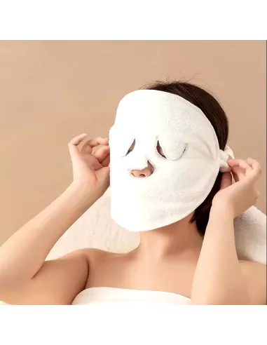 Masque éponge visage