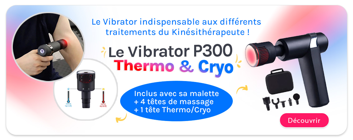 Vibrator P300
